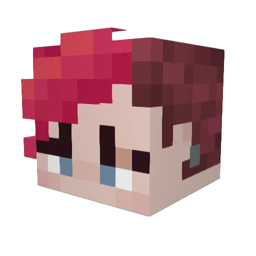 B1gF00t0401 Minecraft avatar head, 3D render