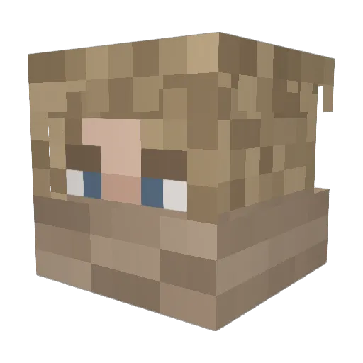 B1gSHISHKA Minecraft avatar head, 3D render