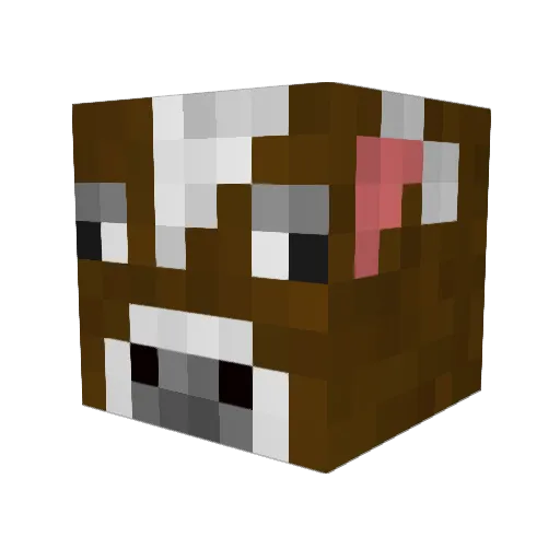 B1g_N1g Minecraft avatar head, 3D render