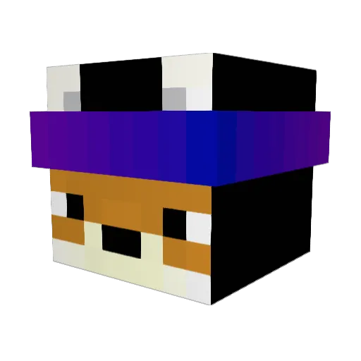 B1nF0x Minecraft avatar head, 3D render