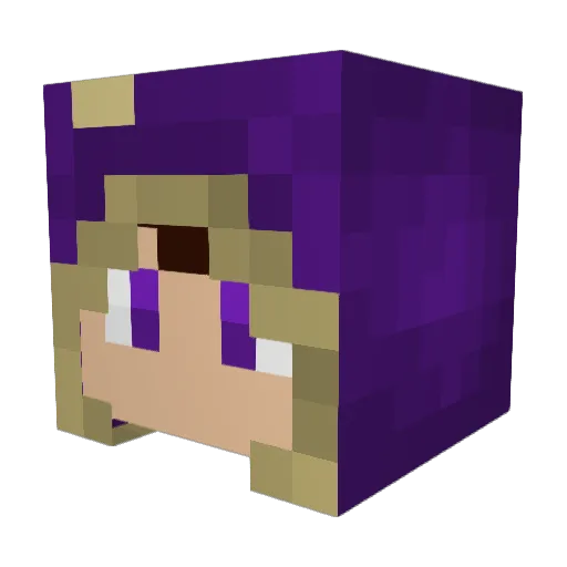 B1ock42 Minecraft avatar head, 3D render
