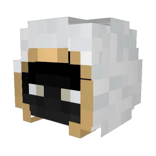 B1ohazard Minecraft avatar head, 3D render