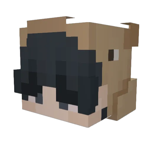 B1ow Minecraft avatar head, 3D render