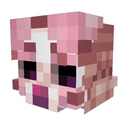 B1rdlawyer Minecraft avatar head, 3D render