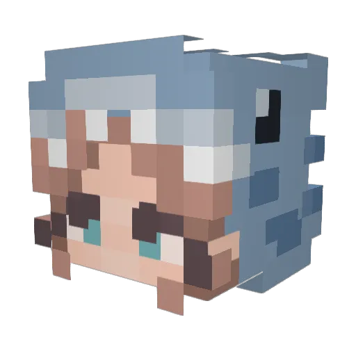 B1ssaBoo Minecraft avatar head, 3D render