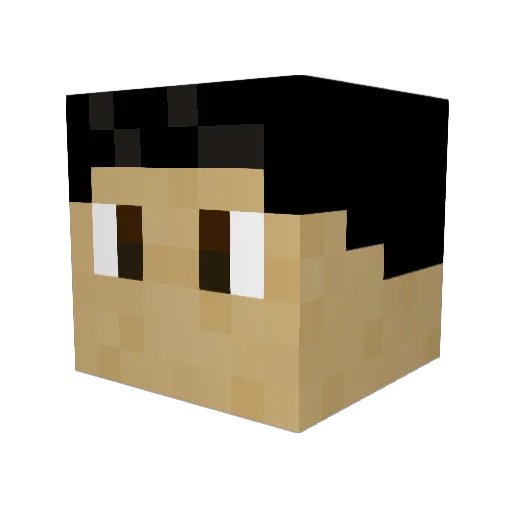 B292Tom Minecraft avatar head, 3D render