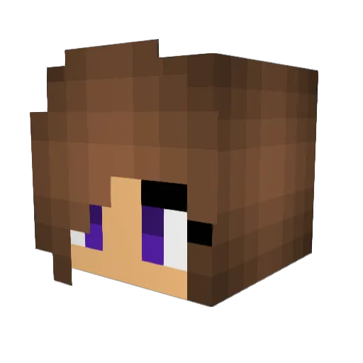 B2xo Minecraft avatar head, 3D render