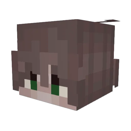 B3ANS_ Minecraft avatar head, 3D render