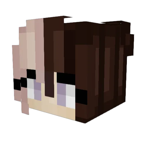 B3LLB3LL Minecraft avatar head, 3D render