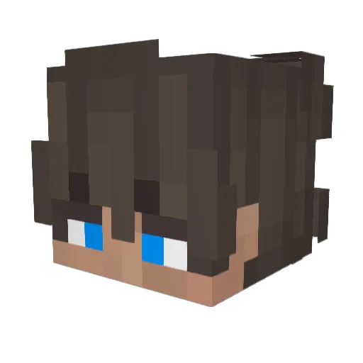 B3N262 Minecraft avatar head, 3D render