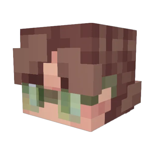 B3RKAYY Minecraft avatar head, 3D render