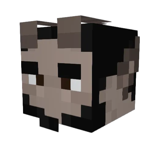 B3Z04R Minecraft avatar head, 3D render