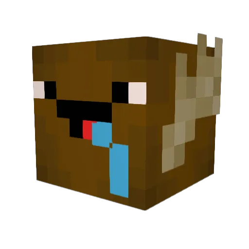 B3ar426 Minecraft avatar head, 3D render