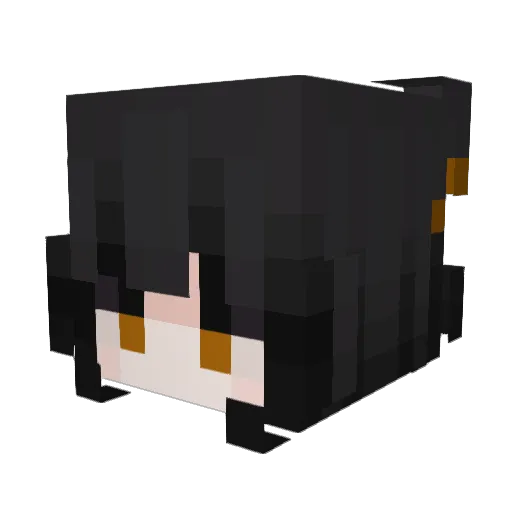 B3g4 Minecraft avatar head, 3D render