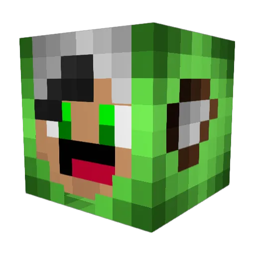 B3ikan99 Minecraft avatar head, 3D render