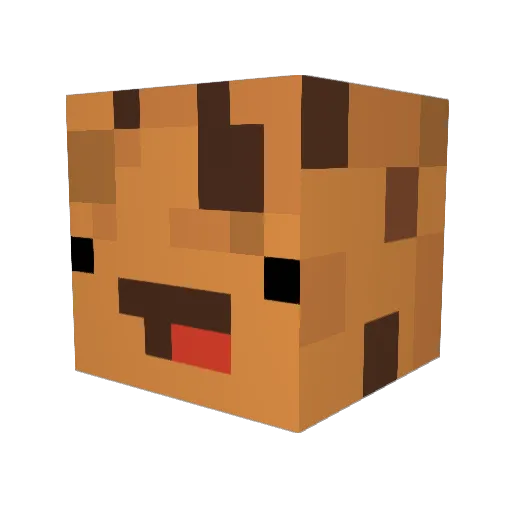 B3llyw4sh Minecraft avatar head, 3D render