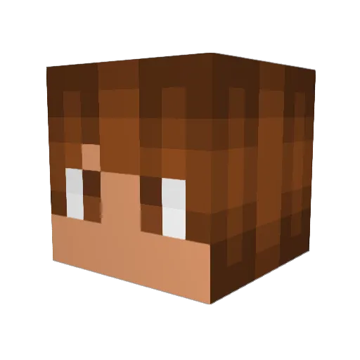 B3ngy801 Minecraft avatar head, 3D render