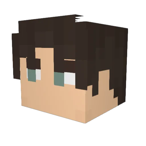 B3nji27 Minecraft avatar head, 3D render