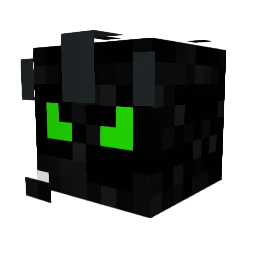 B3rniii95 Minecraft avatar head, 3D render