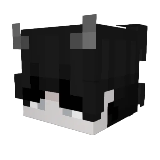 B3rny69 Minecraft avatar head, 3D render