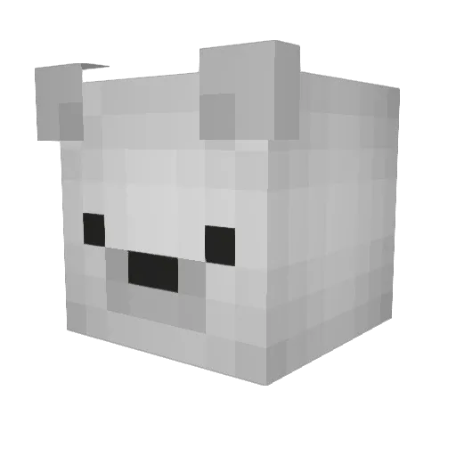 B3ski Minecraft avatar head, 3D render