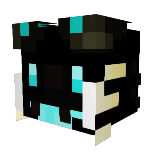 B4DSK1LLSH0T Minecraft avatar head, 3D render