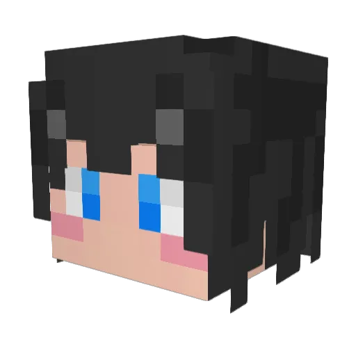 B4N2HEE Minecraft avatar head, 3D render