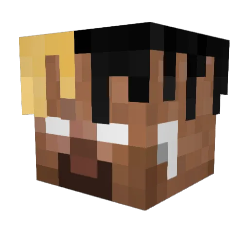 B4RNETT Minecraft avatar head, 3D render