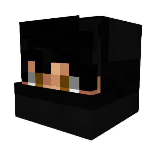B4TIN Minecraft avatar head, 3D render