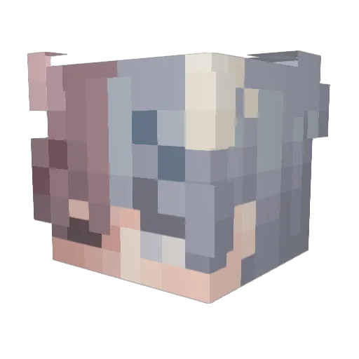 B4iley1292 Minecraft avatar head, 3D render