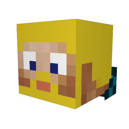 B4radin Minecraft avatar head, 3D render