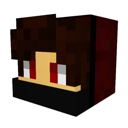 B4rr0s0 Minecraft avatar head, 3D render