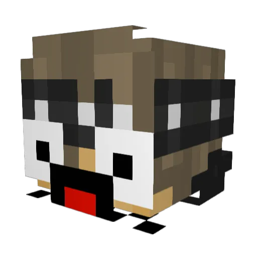 B4ul Minecraft avatar head, 3D render