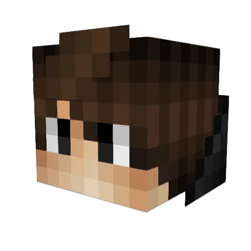 B8k1 Minecraft avatar head, 3D render