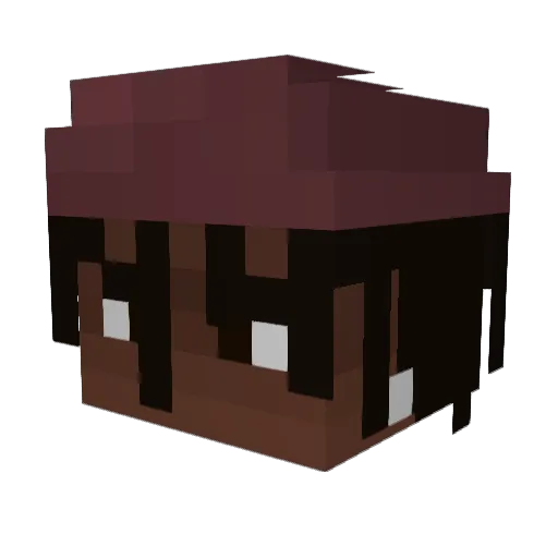 BA5S Minecraft avatar head, 3D render