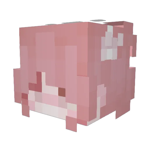 BABYBUN_ Minecraft avatar head, 3D render