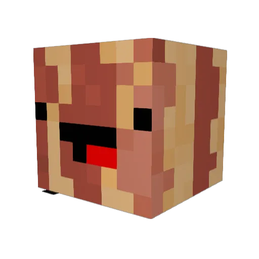 BAC0N_DUDE Minecraft avatar head, 3D render