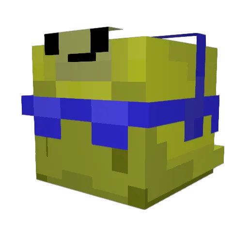 BACEK995 Minecraft avatar head, 3D render