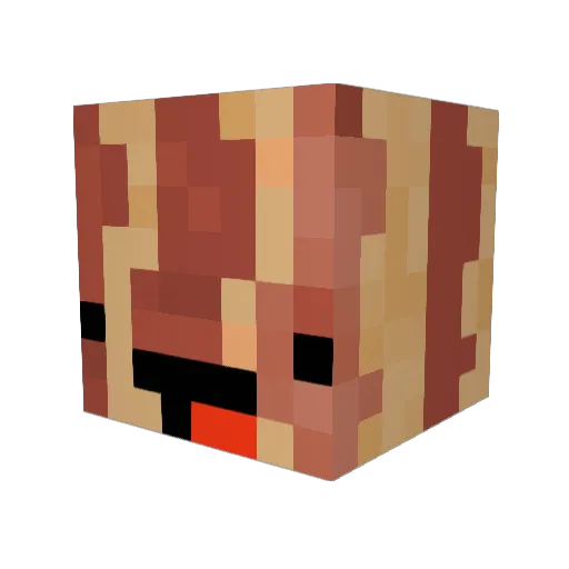 BACONSODA21 Minecraft avatar head, 3D render