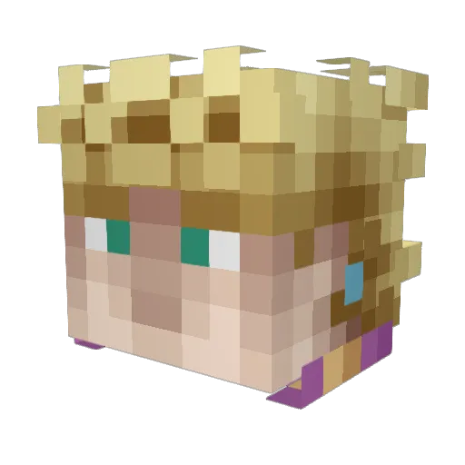 BACONinja100 Minecraft avatar head, 3D render