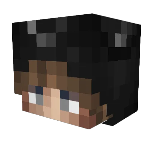 BAEHELPSHVQO Minecraft avatar head, 3D render