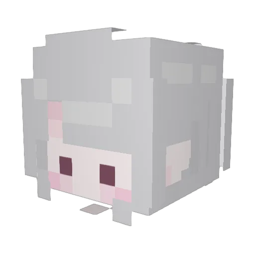 BAERONG_ Minecraft avatar head, 3D render