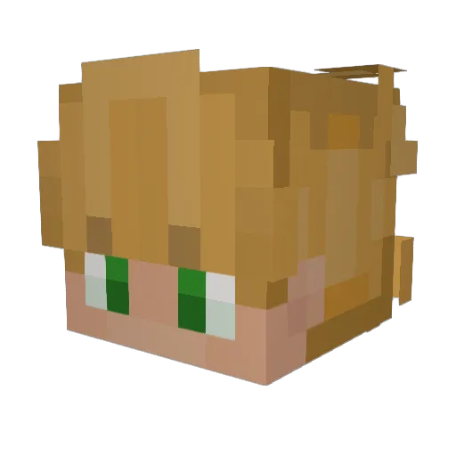 BAGAN89 Minecraft avatar head, 3D render