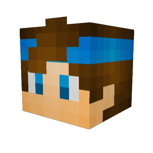 BAGF0RT Minecraft avatar head, 3D render