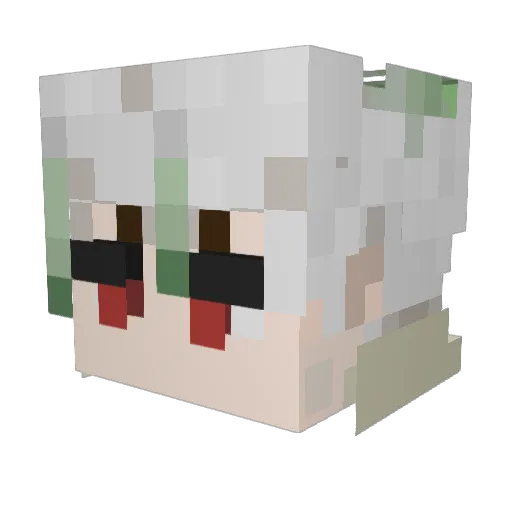 BAGHS17 Minecraft avatar head, 3D render
