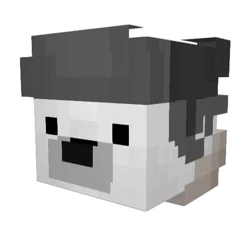 BAGIETKA77 Minecraft avatar head, 3D render