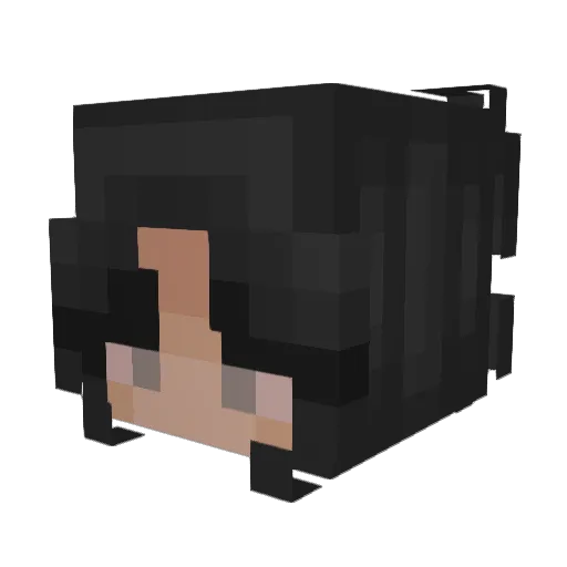 BAHREIS Minecraft avatar head, 3D render