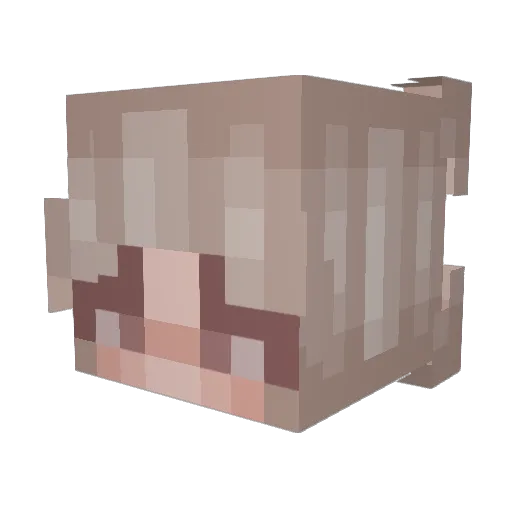 BAJSARNE23 Minecraft avatar head, 3D render
