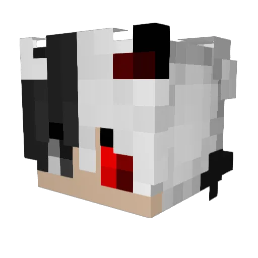 BAKA_ZERO Minecraft avatar head, 3D render