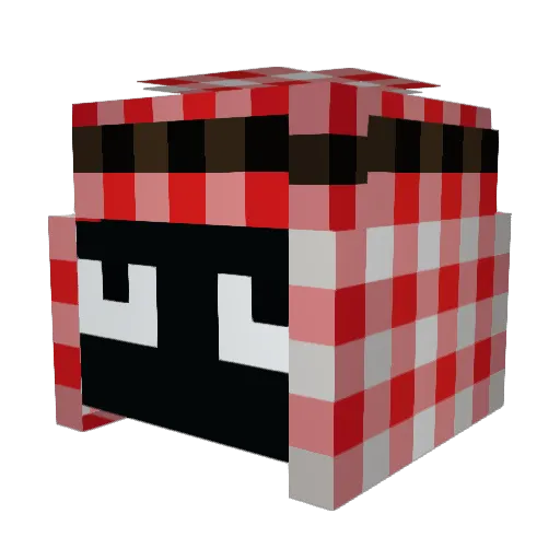 BAKLAGANSF Minecraft avatar head, 3D render